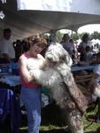 /images/events/11/Bark in the Park 2008 026-large-thumb.jpg